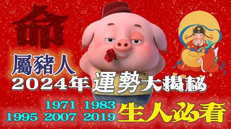 1983屬豬2024運勢|属猪1983年出生的人2024年全年运程运势